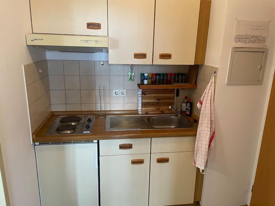 Apartment In Den Bergen 巴特格里斯巴赫 外观 照片