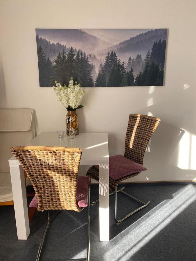 Apartment In Den Bergen 巴特格里斯巴赫 外观 照片